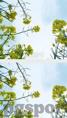 90比分足球比分-深度剖析,90比分足球比分背后的数据密码与赛事洞察
