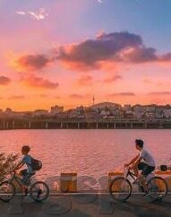 足球比分盘囗-深度解析，足球比分盘口背后的逻辑与博弈艺术